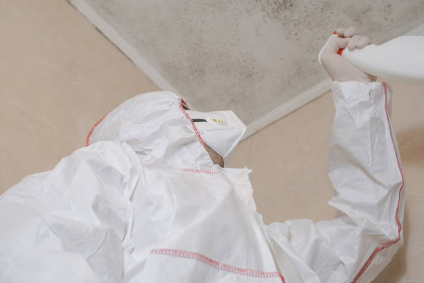 Best Mold Testing and Removal  in Chuluota, FL